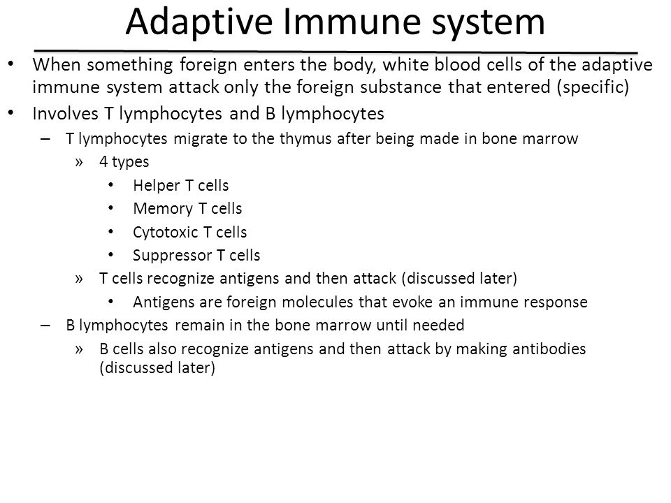 Adaptive Immune system