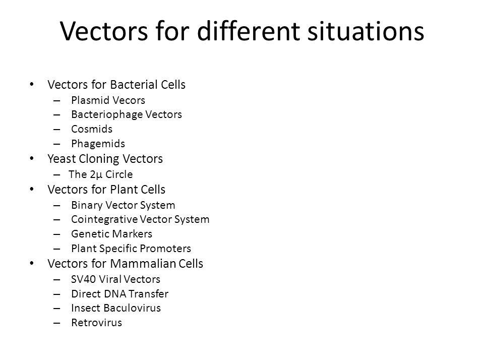 Cloning vectors “The introduction of a foreign DNA into a host cell in many cases requires the use of a vector. Vectors are DNA molecules used to transfer. - ppt video online Cloning vectors “The introduction of a foreign DNA into a host cell in many cases requires the use of a vector. Vectors are DNA molecules used to transfer. - ppt video online
