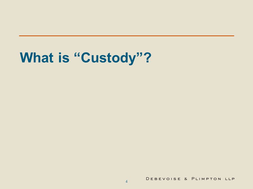 What is Custody