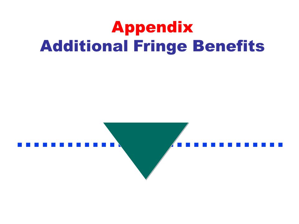 Additional Fringe Benefits
