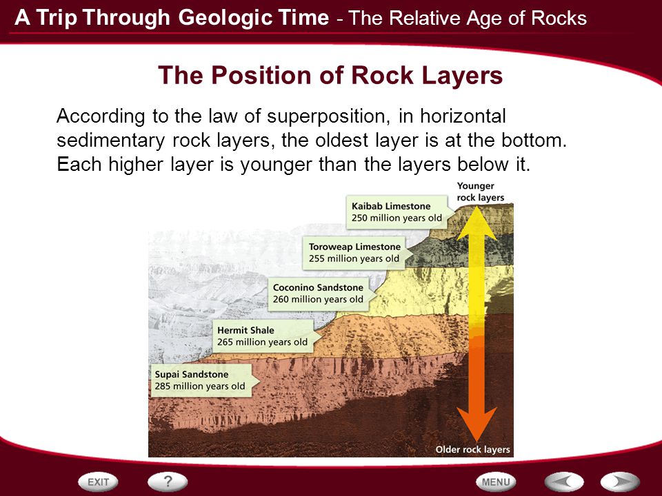 Presentation on theme: "Table of Contents Fossils The Relative Age of Rocks...