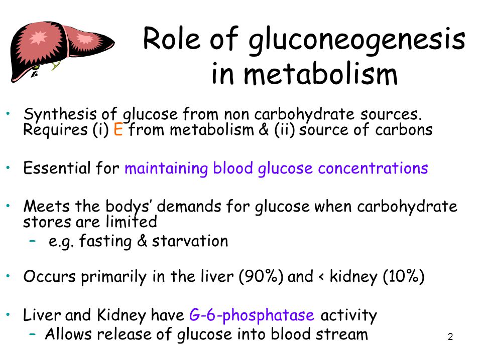 Role in gluconeogenesis
