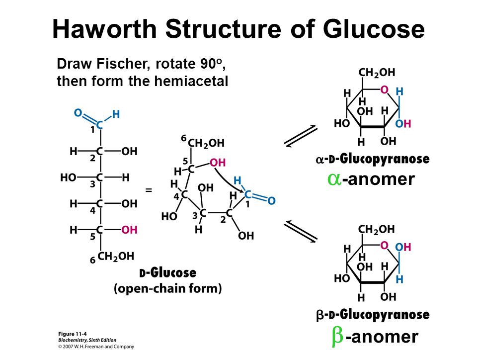 structure fructose fischer Edition Biochemistry ppt Sixth download structure fructose fischer Edition Biochemistry ppt Sixth download