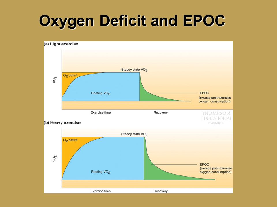 Oxygen Deficit and EPOC.