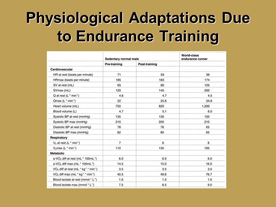 Physiological Adaptations Due to Endurance Training