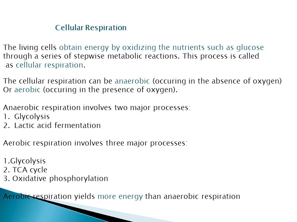 Cellular Respiration The living cells obtain energy by oxidizing the nutrients such as glucose.