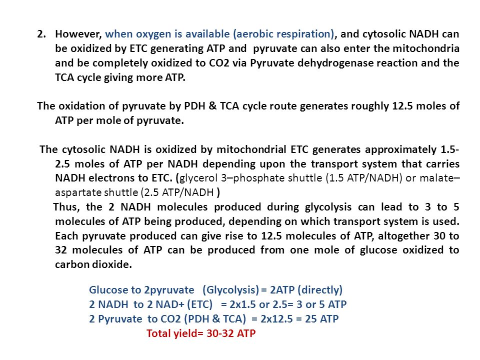However, when oxygen is available (aerobic respiration), and cytosolic NADH can be oxidized by ETC generating ATP and pyruvate can also enter the mitochondria and be completely oxidized to CO2 via Pyruvate dehydrogenase reaction and the TCA cycle giving more ATP.