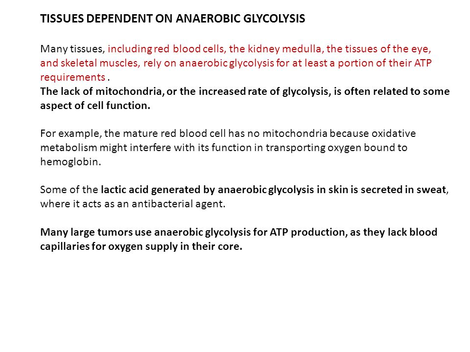 TISSUES DEPENDENT ON ANAEROBIC GLYCOLYSIS