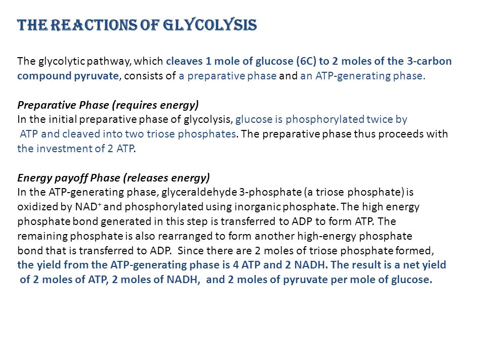The Reactions of Glycolysis
