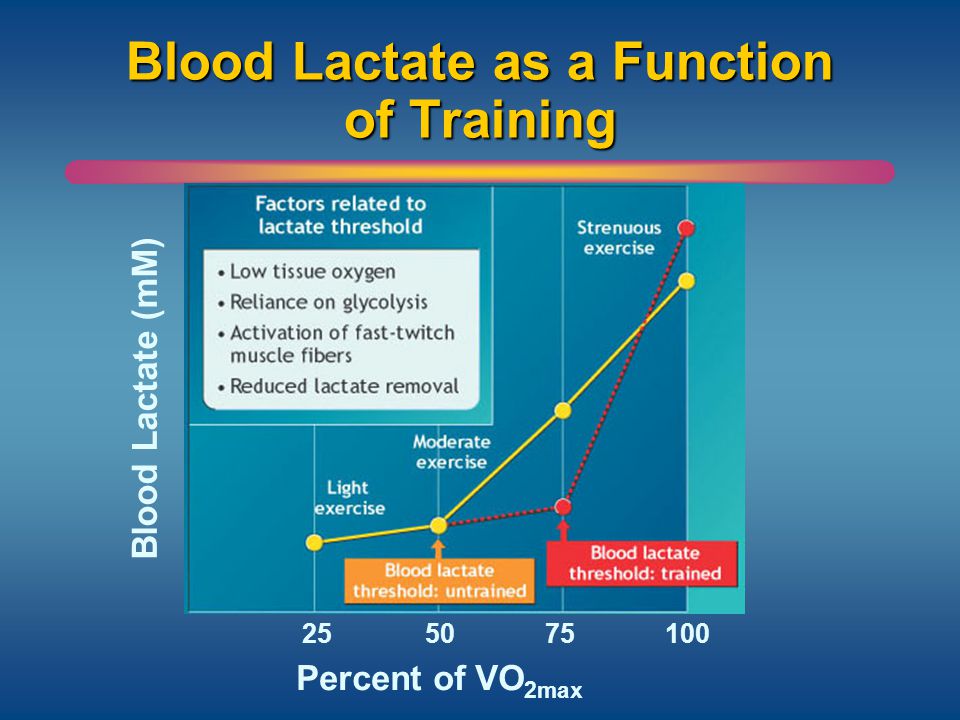 More Basics In Exercise Physiology Ppt Video Online Download