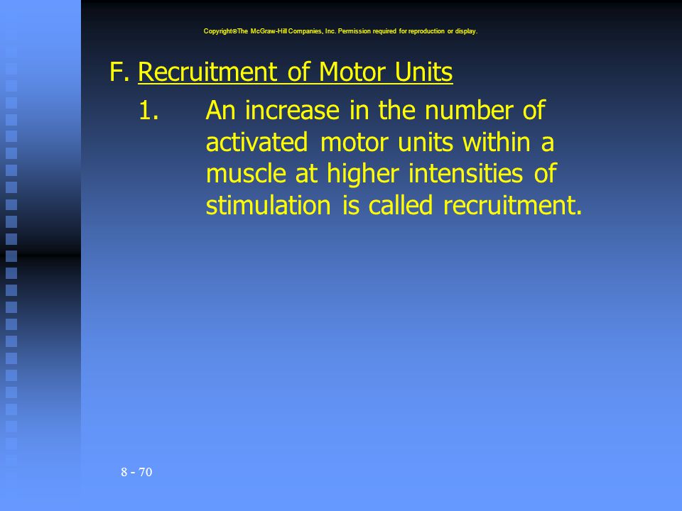 F. Recruitment of Motor Units