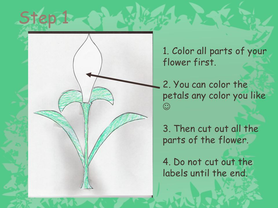 Step 1 1. Color all parts of your flower first.