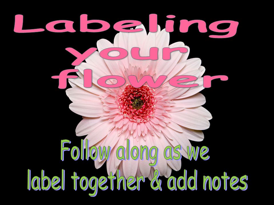 label together & add notes