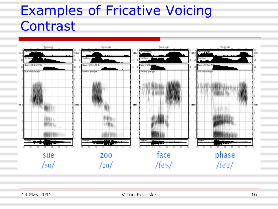 Examples of Fricative Voicing Contrast