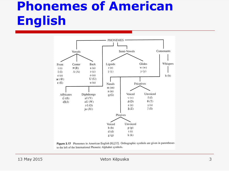 Phonemes of American English
