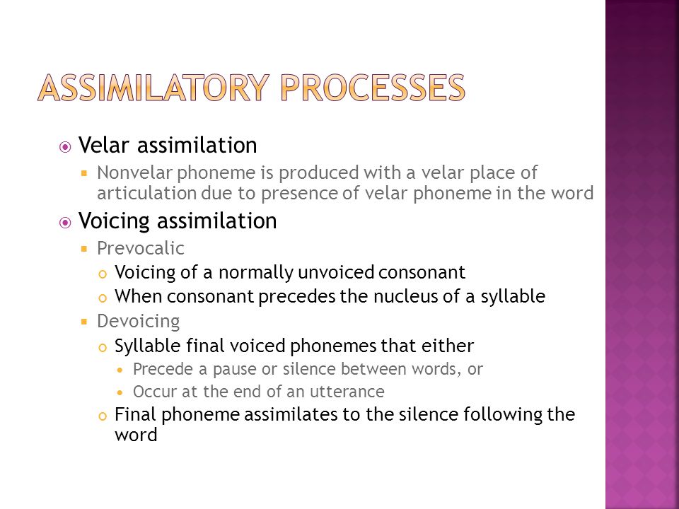 Assimilatory Processes
