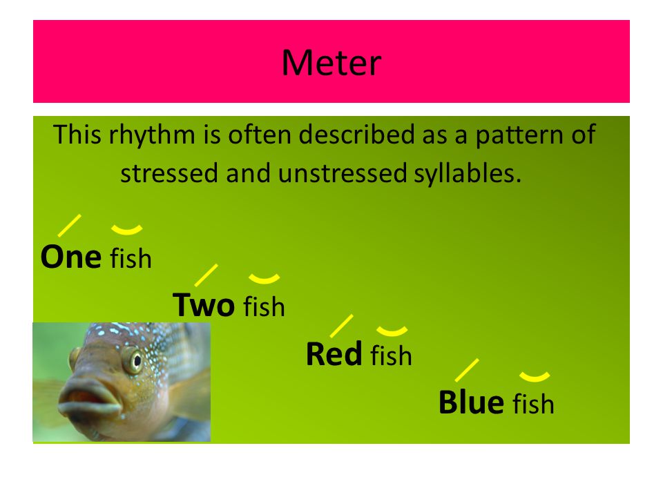 Meter One fish This rhythm is often described as a pattern of