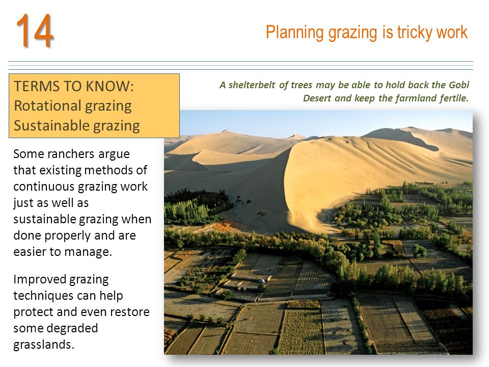 14 Planning grazing is tricky work TERMS TO KNOW: Rotational grazing