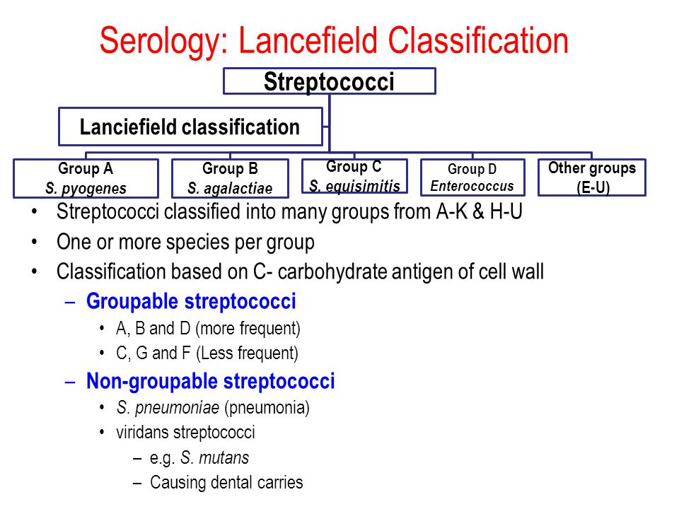 Streptococcus Classification Chart