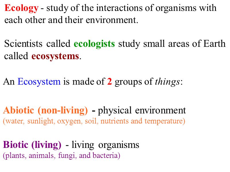 Abiotic (non-living) - physical environment
