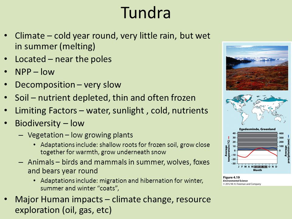 Tundra Climate – cold year round, very little rain, but wet in summer (melting) Located – near the poles.
