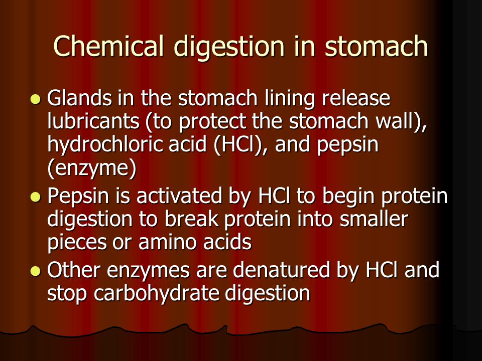 Chemical digestion in stomach