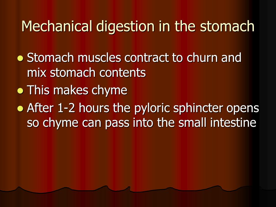 Mechanical digestion in the stomach