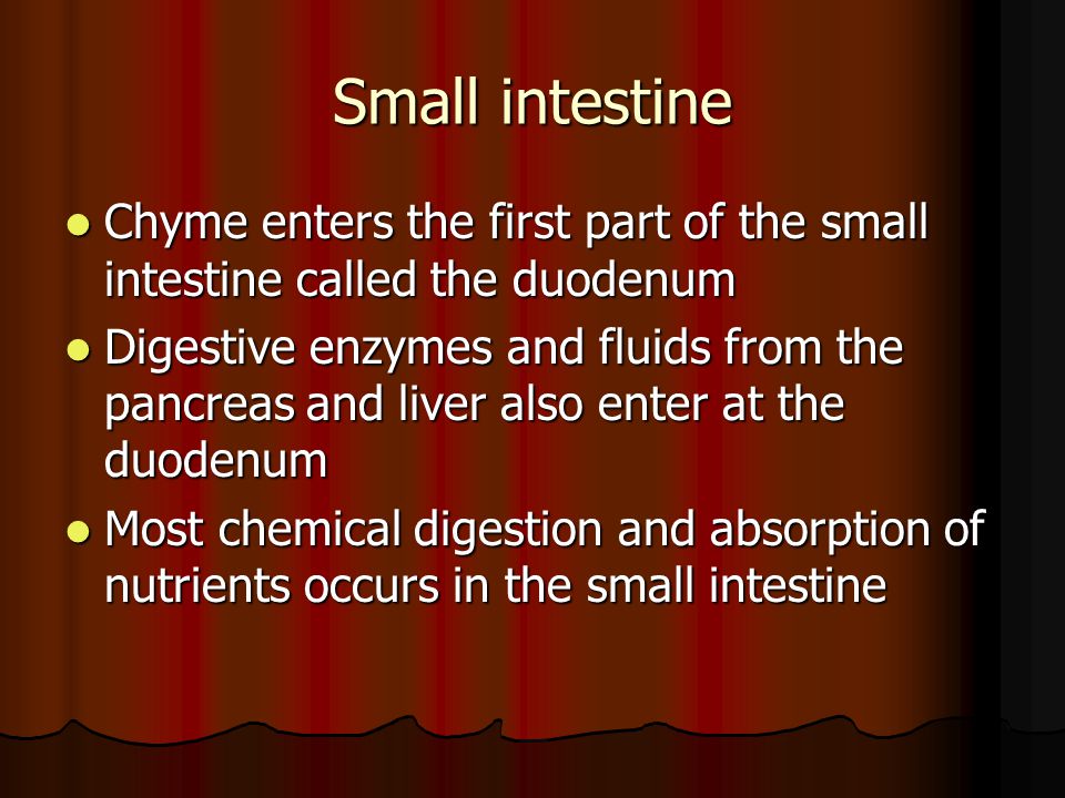 Small intestine Chyme enters the first part of the small intestine called the duodenum.