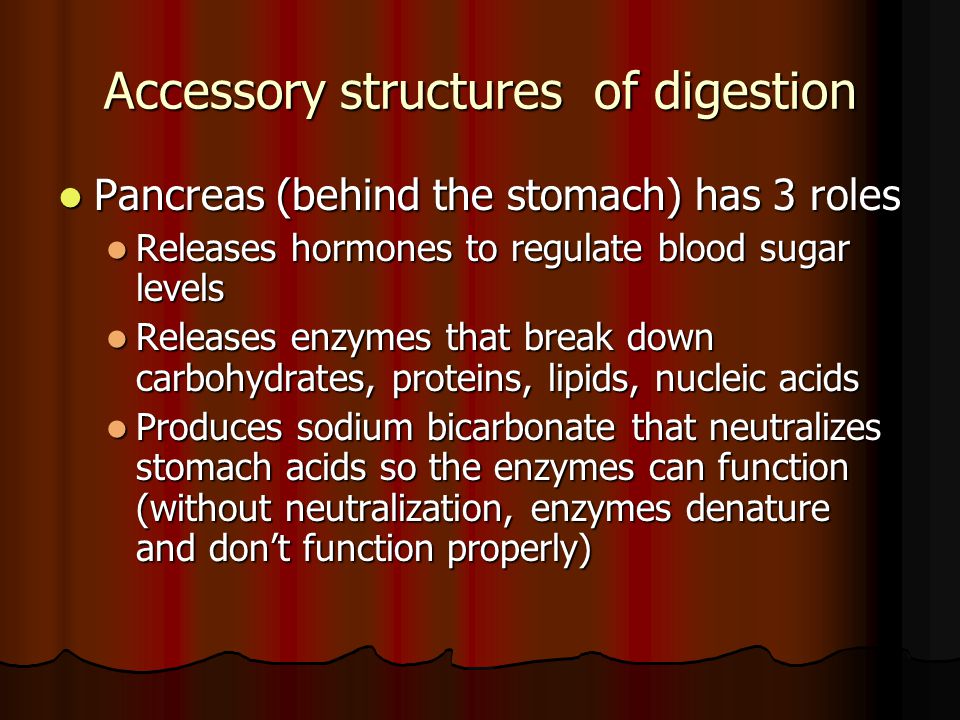 Accessory structures of digestion