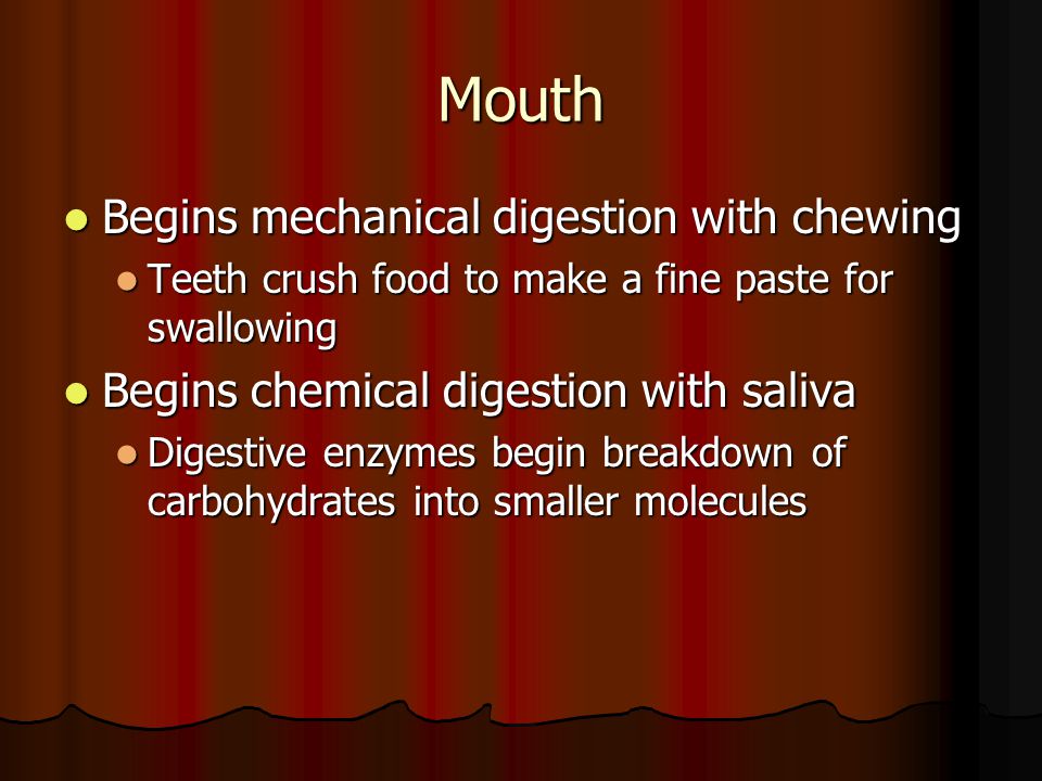 Mouth Begins mechanical digestion with chewing