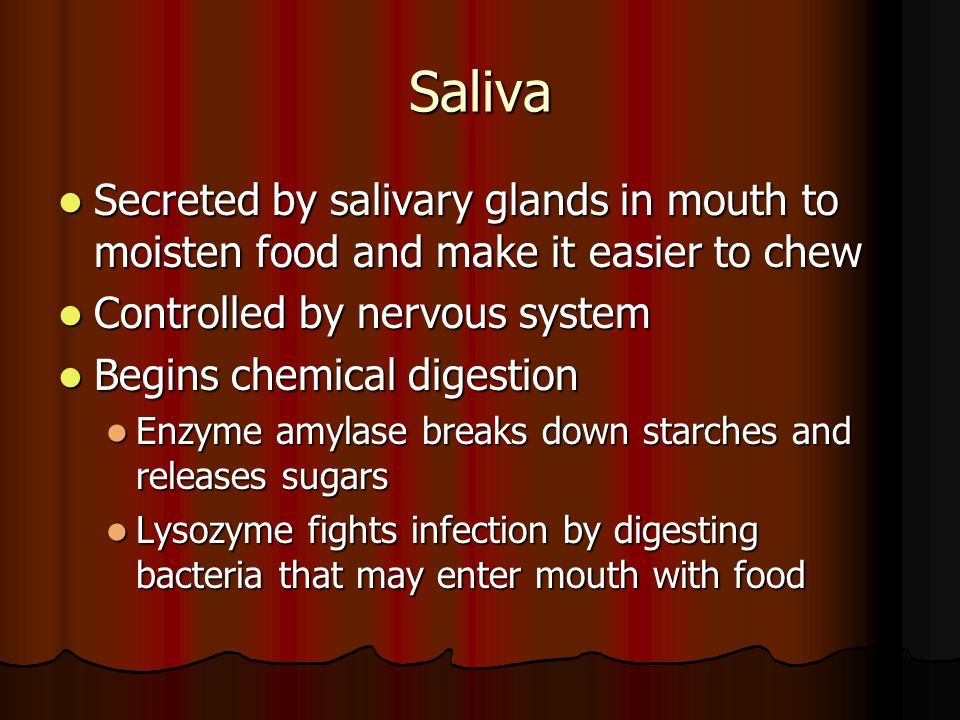 Saliva Secreted by salivary glands in mouth to moisten food and make it easier to chew. Controlled by nervous system.