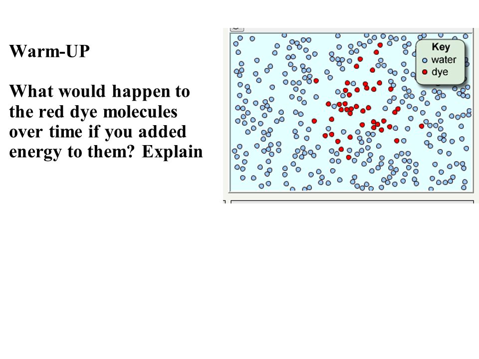 Warm-UP What would happen to the red dye molecules over time if you added energy to them Explain