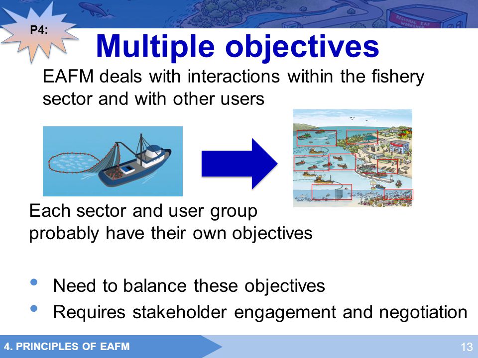 P4: Multiple objectives. EAFM deals with interactions within the fishery sector and with other users.