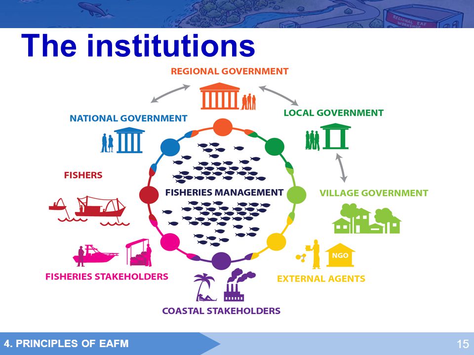The institutions