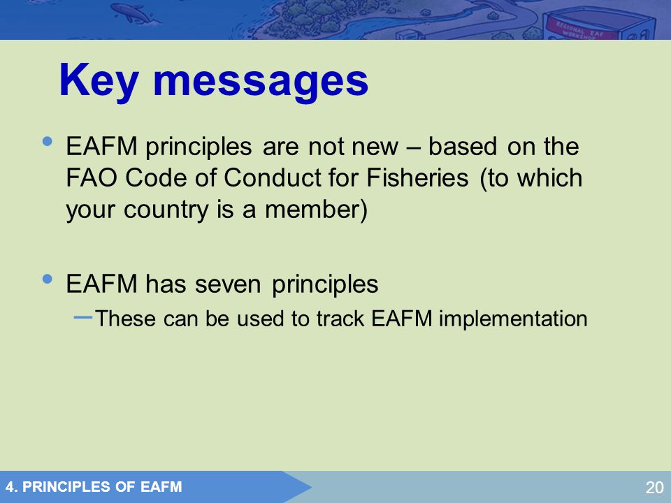 Key messages EAFM principles are not new – based on the FAO Code of Conduct for Fisheries (to which your country is a member)