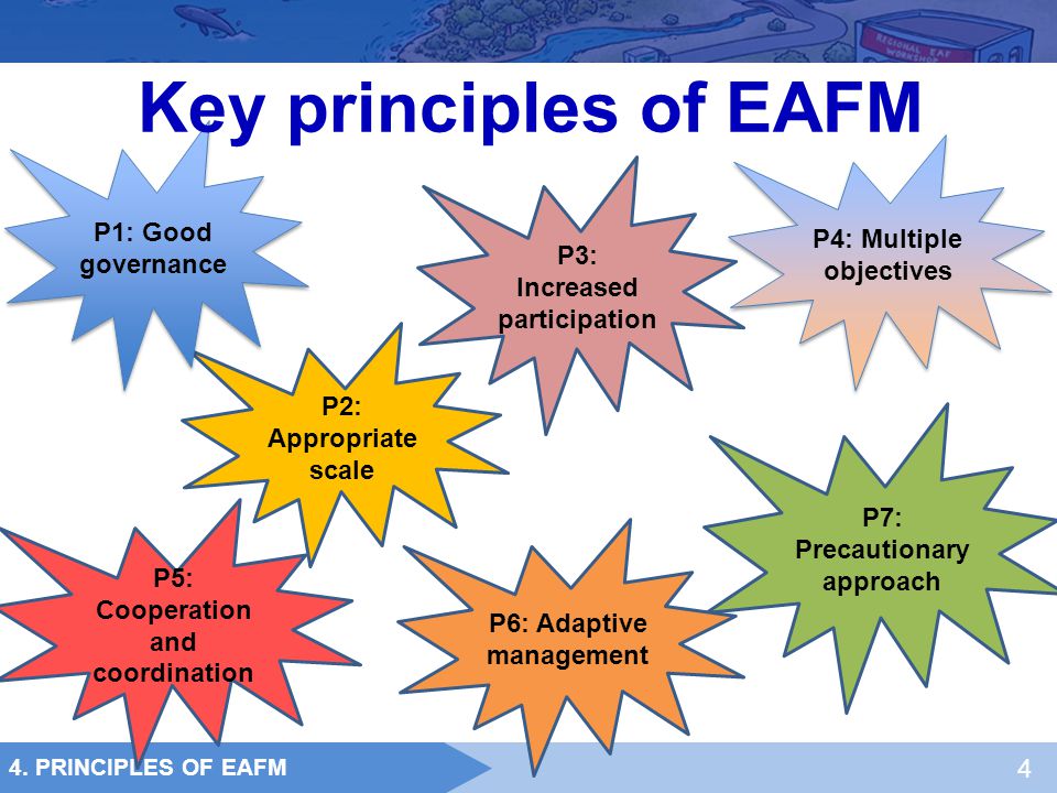 Key principles of EAFM P1: Good governance P4: Multiple objectives