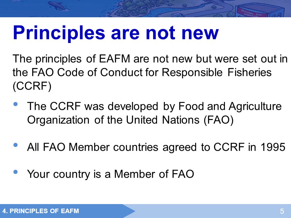 Principles are not new The principles of EAFM are not new but were set out in the FAO Code of Conduct for Responsible Fisheries (CCRF)