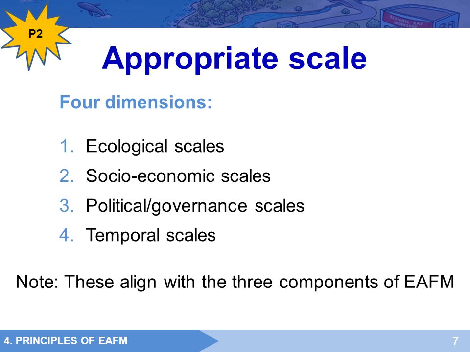 Note: These align with the three components of EAFM