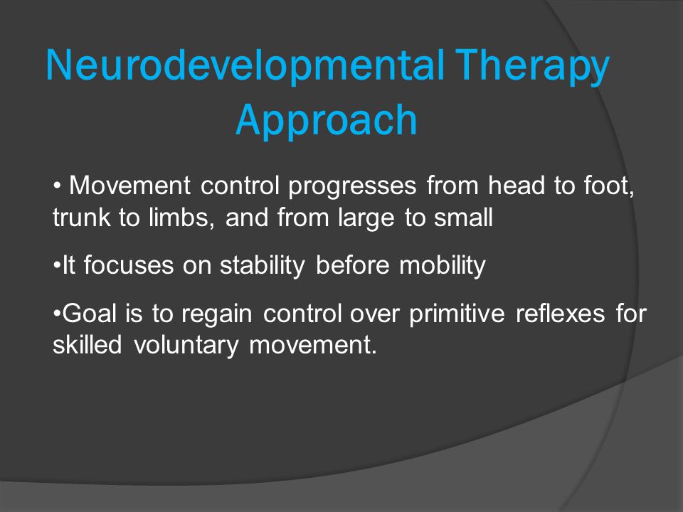 Neurodevelopmental Therapy Approach
