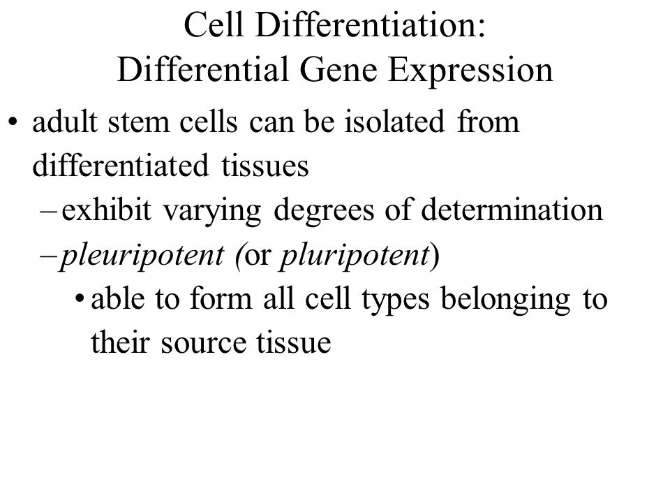 Cell Differentiation: Differential Gene Expression