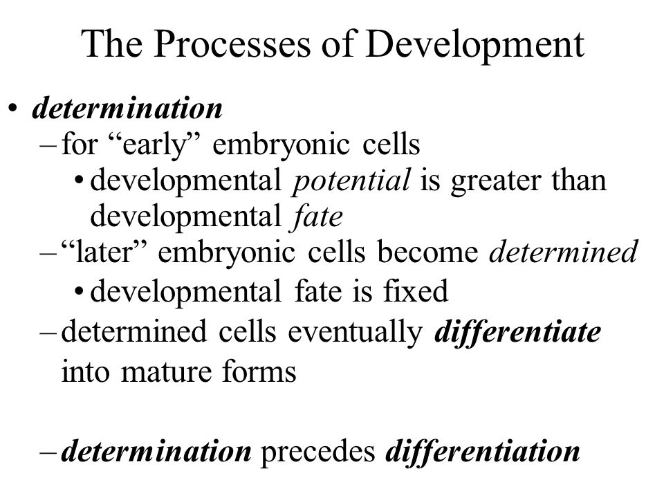 The Processes of Development