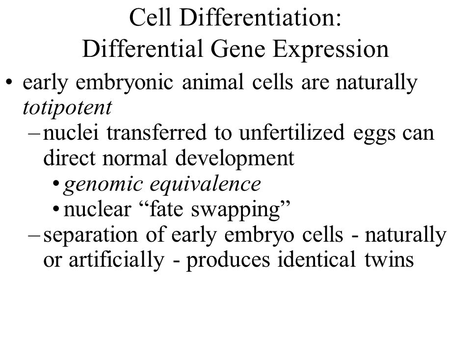 Cell Differentiation: Differential Gene Expression