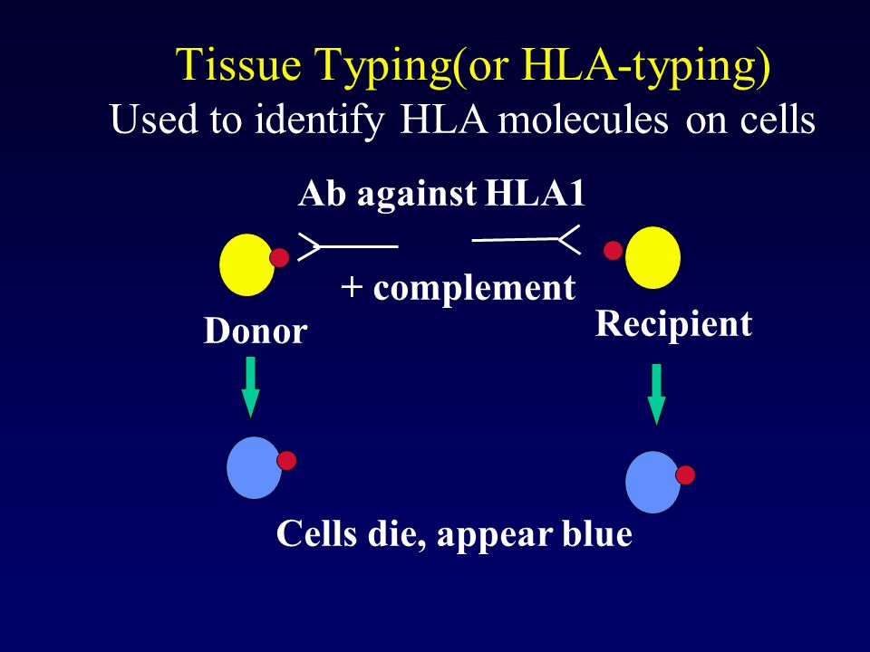 Tissue Typing(or HLA-typing)