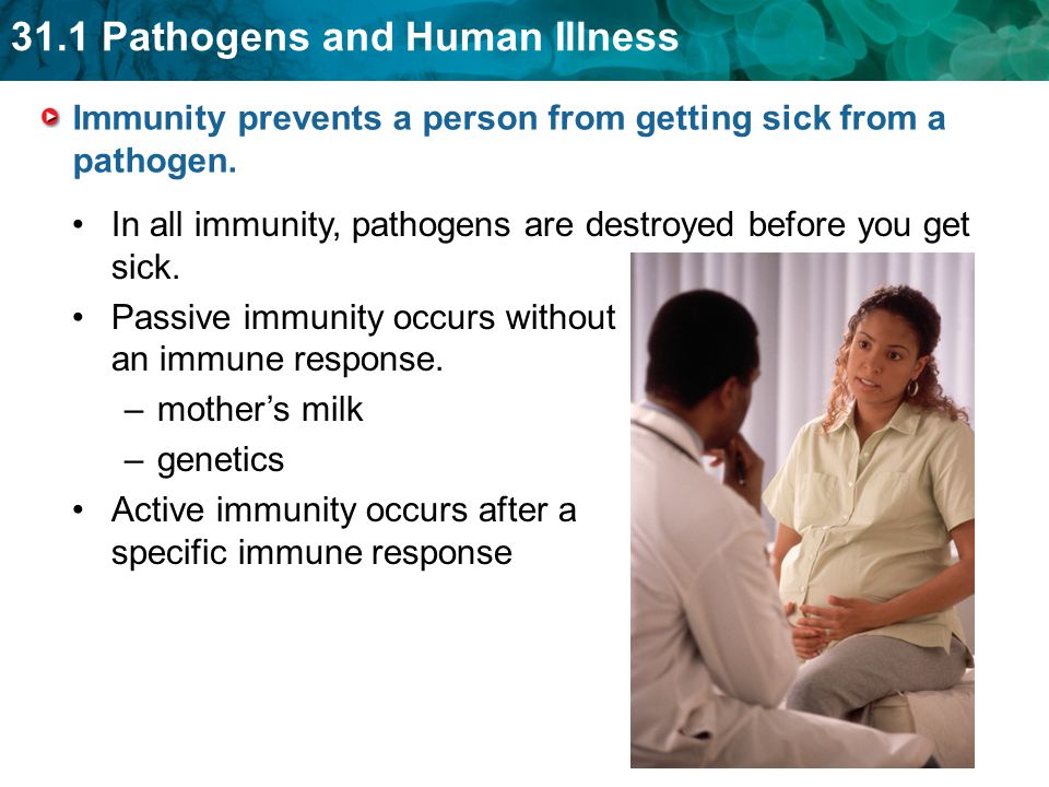 Immunity prevents a person from getting sick from a pathogen.