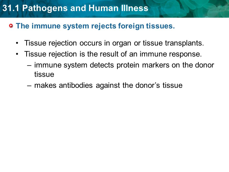 The immune system rejects foreign tissues.