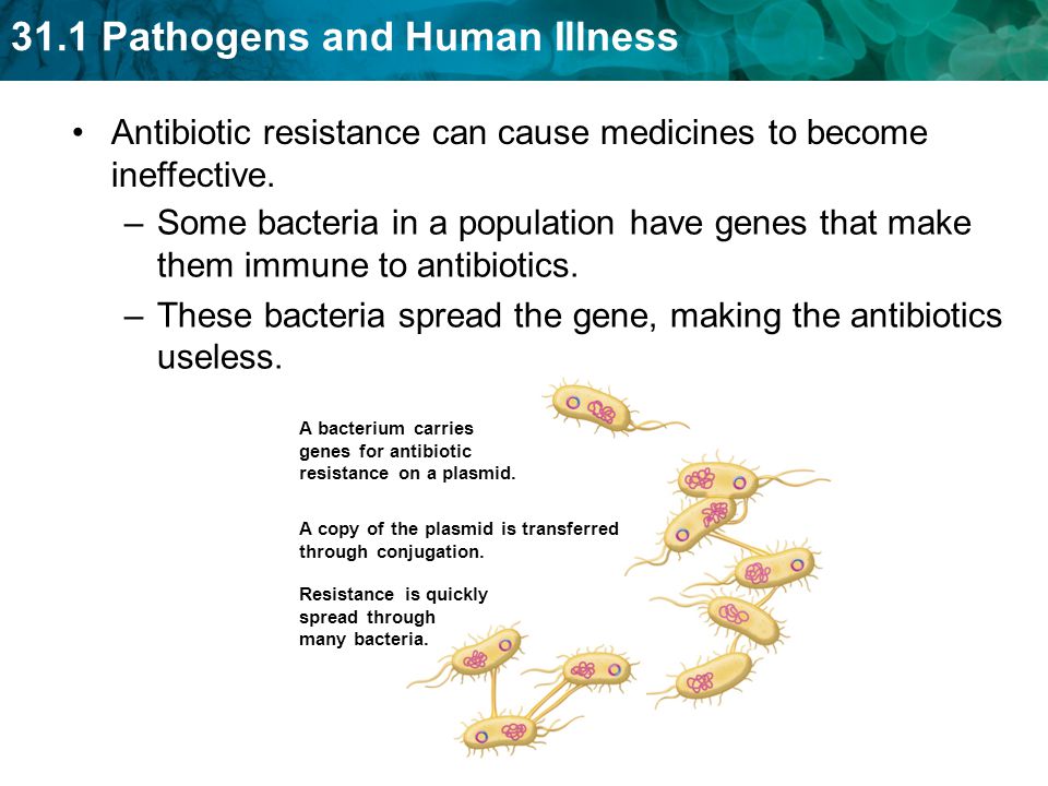 Antibiotic resistance can cause medicines to become ineffective.