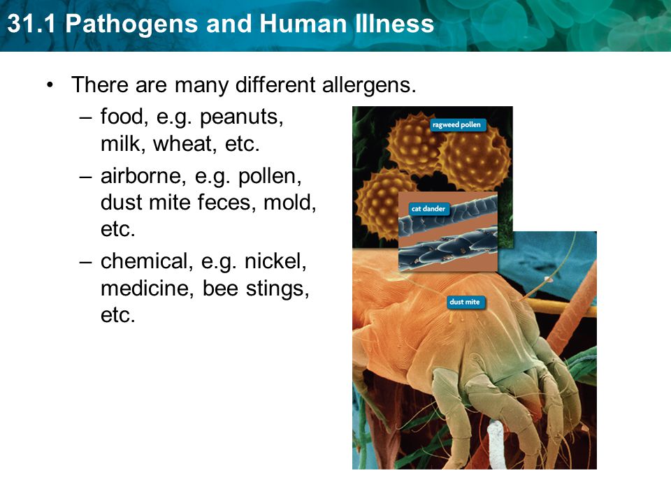 There are many different allergens.