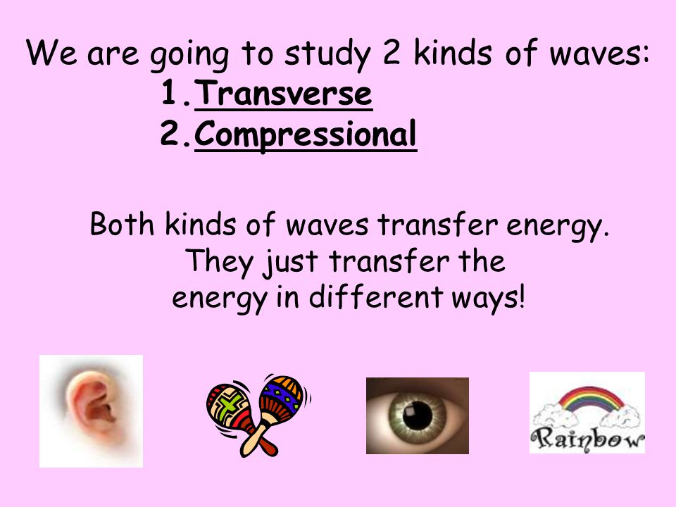 We are going to study 2 kinds of waves: Transverse Compressional