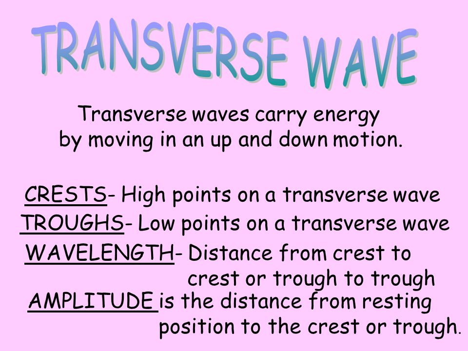 TRANSVERSE WAVE Transverse waves carry energy