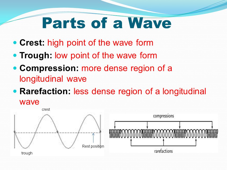 Parts of a Wave Crest: high point of the wave form